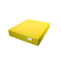 Дашок пінополістирол  високий фарбований Bee Home жовтий