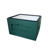 Zarge Styropor Dadant-10 Rähmchen Bee Home bemalt grün