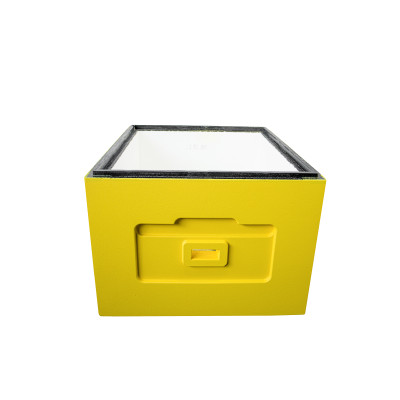 Корпус вулика пінополістирол 10 рамок Дадан BeeHome  фарбований жовтий