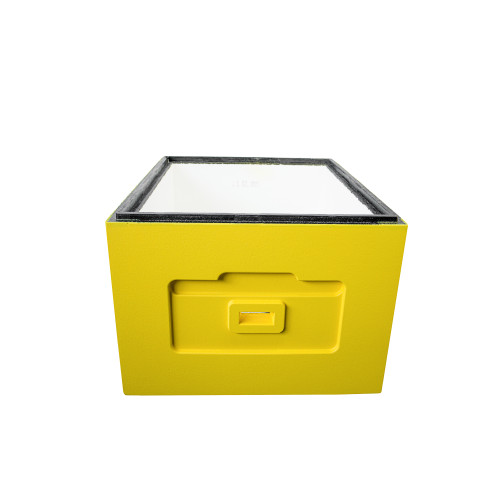 Корпус вулика пінополістирол 10 рамок Дадан BeeHome  фарбований жовтий