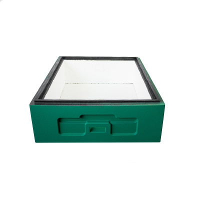 Корпус вулика піноролістирол 10 рамок  Дадан 1/2 BeeHome  фарбований св. зелений