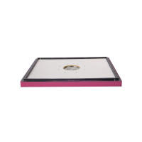 Polystyrene transition board with bee excluder Bee Home painted pink