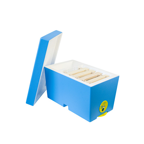 Begattungskasten Für Eine Bienenfamilie, Polystyrol, Bemalt, blau