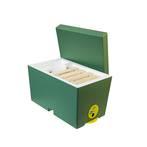 The polystyrene nucleus for 1 colony, BeeHome, painted green