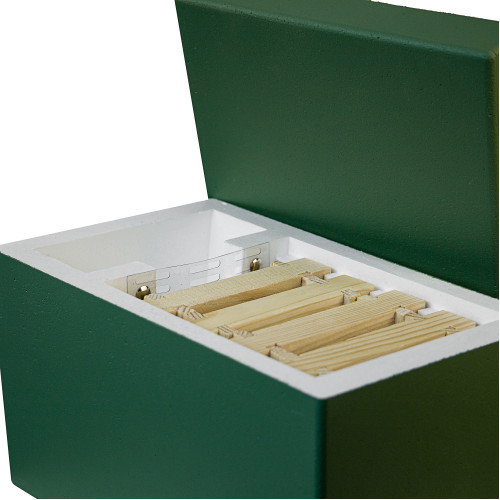 The polystyrene nucleus for 1 colony, BeeHome, painted green