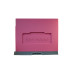 Bienenbeute aus Styropor  Dadant-6 Rähmchen  mit Kunststoffboden BeeHome Bemalt rosa