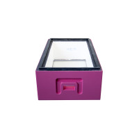 Корпус 1/2 до 6-ти рамкового вулика Дадан BeeHome фарбований рожевий