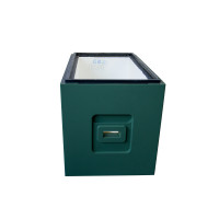 Zarge Styropor Dadant-6 Rähmchen Bee Home bemalt grün
