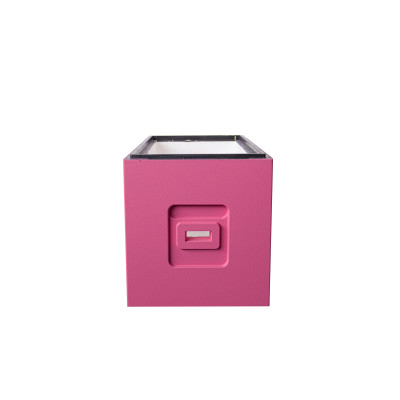 Zarge Styropor Dadant-6 Rähmchen Bee Home bemalt rosa